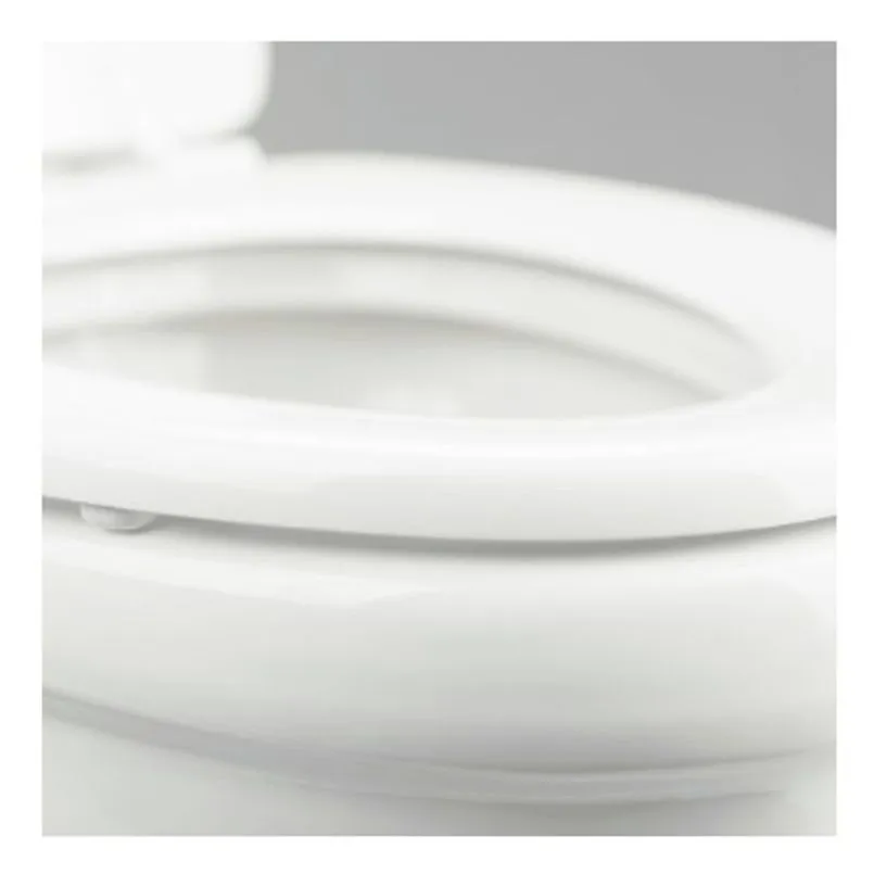 TOILET 320 NO SPR/BONE